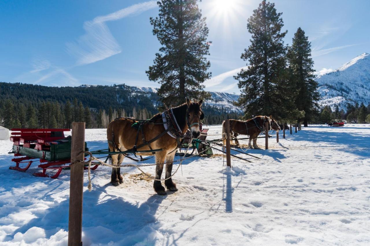 Aspen Suites 505: Enchantment Abode レブンワース エクステリア 写真